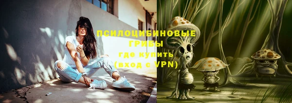 тгк Армянск
