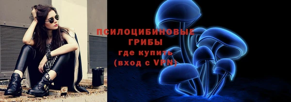 соль ск Арсеньев