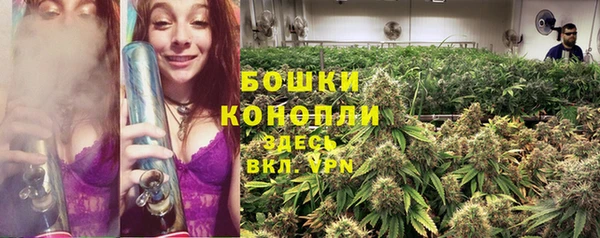 a pvp Аркадак