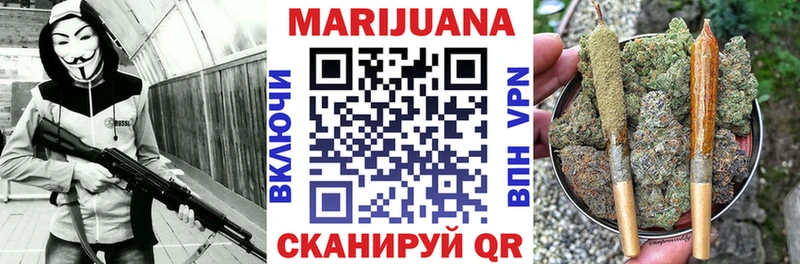 Купить  Белая Холуница  Канабис SATIVA & INDICA 